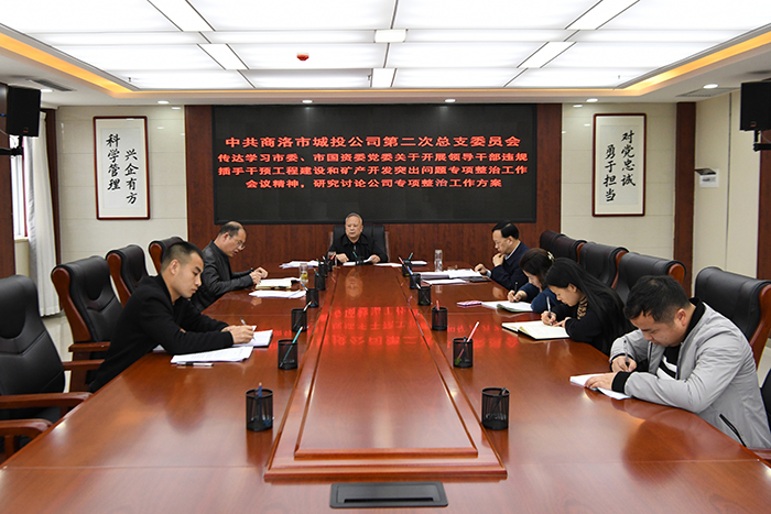 中共商洛市城投公司總支委員會(huì)召開領(lǐng)導(dǎo)干部違規(guī)插手干預(yù)工程建設(shè)和礦產(chǎn)開發(fā)突出問題專項(xiàng)整治工作動(dòng)員會(huì)