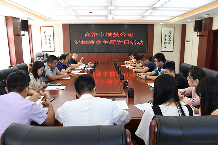 市城投公司開展“明紀律、知敬畏、存戒懼、守底線、做表率”紀律教育學(xué)習(xí)活動