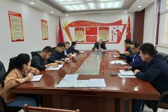 公司第二支部開展“戴黨徽、亮身份、亮標(biāo)準(zhǔn)、亮承諾、展先鋒”主題黨日活動