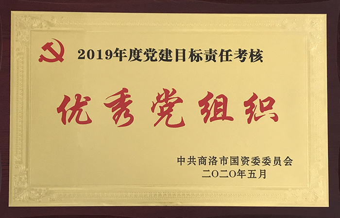 公司2019年黨建目標(biāo)責(zé)任考核獲上級表彰